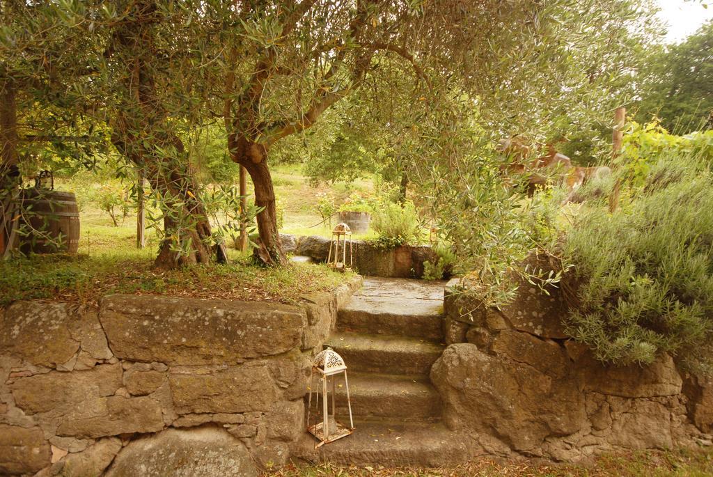 Villa Pieve Di Caminino Historic Farm Podere Caminino Exterior foto